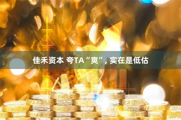 佳禾资本 夸TA“爽”, 实在是低估